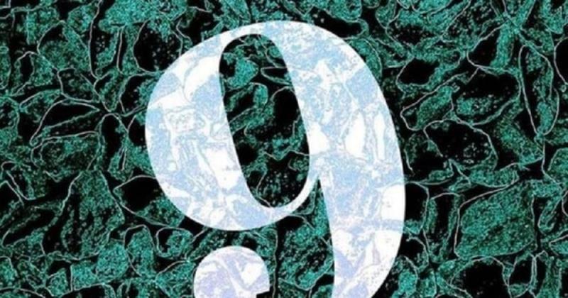 Thần số học số 9 và vai trò của họ trong bảo vệ môi trường